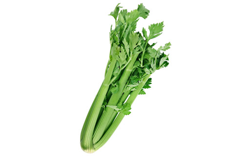 Celery