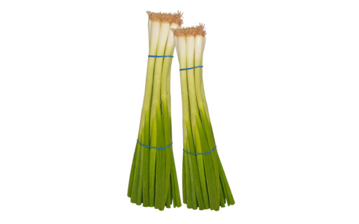 Green Onion