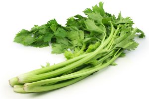 Celery