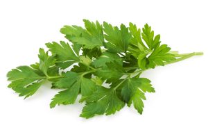 parsley