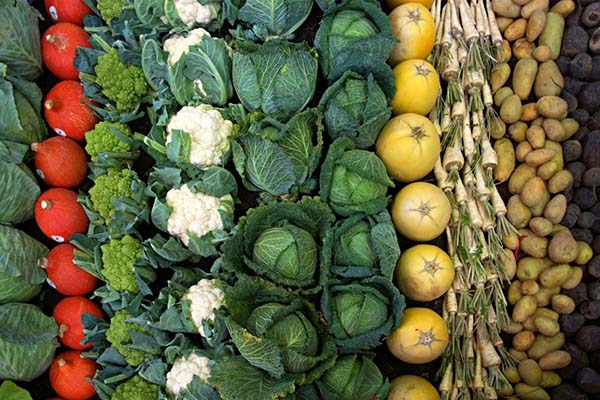 produce supplier