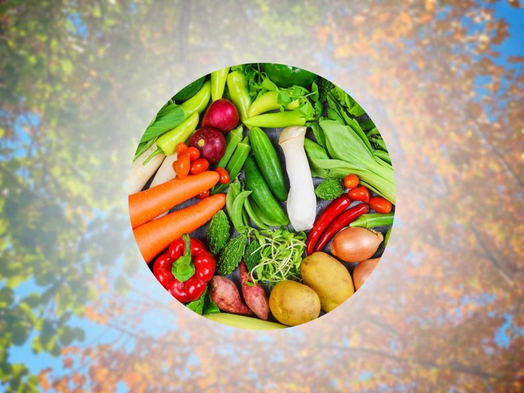 Seasonal Harvest Calendar