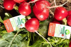 QR code on a Green Life Farms produce carton for digital traceability and field-to-fork transparency.